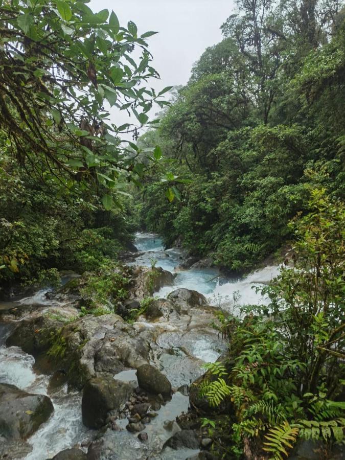 Ferienwohnung Selvatica Del Toro Bajos del Toro Exterior foto