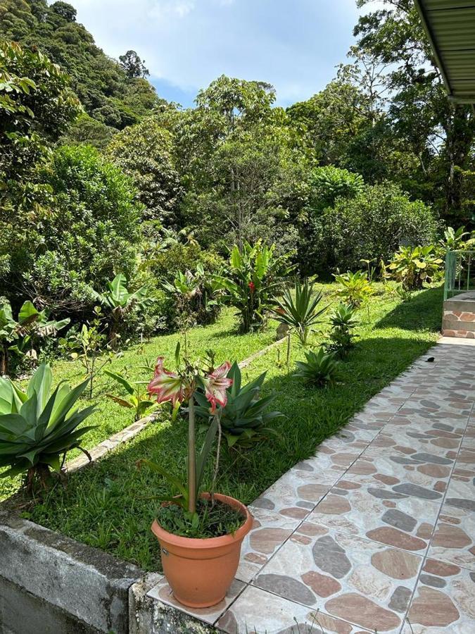 Ferienwohnung Selvatica Del Toro Bajos del Toro Exterior foto