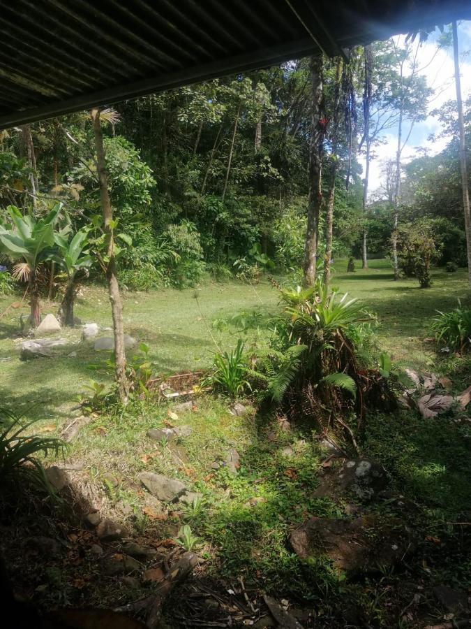 Ferienwohnung Selvatica Del Toro Bajos del Toro Exterior foto