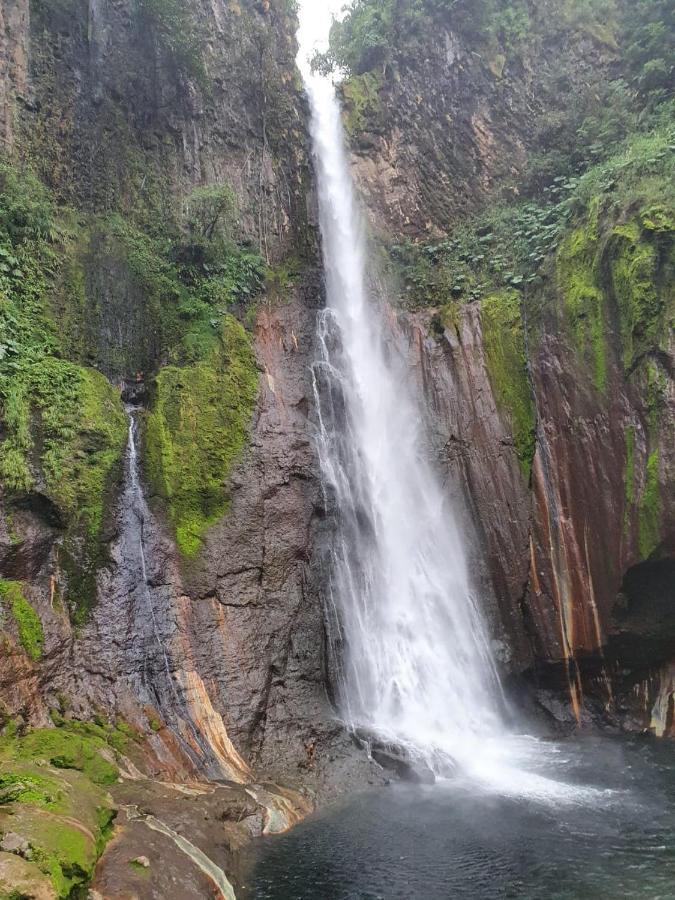 Ferienwohnung Selvatica Del Toro Bajos del Toro Exterior foto