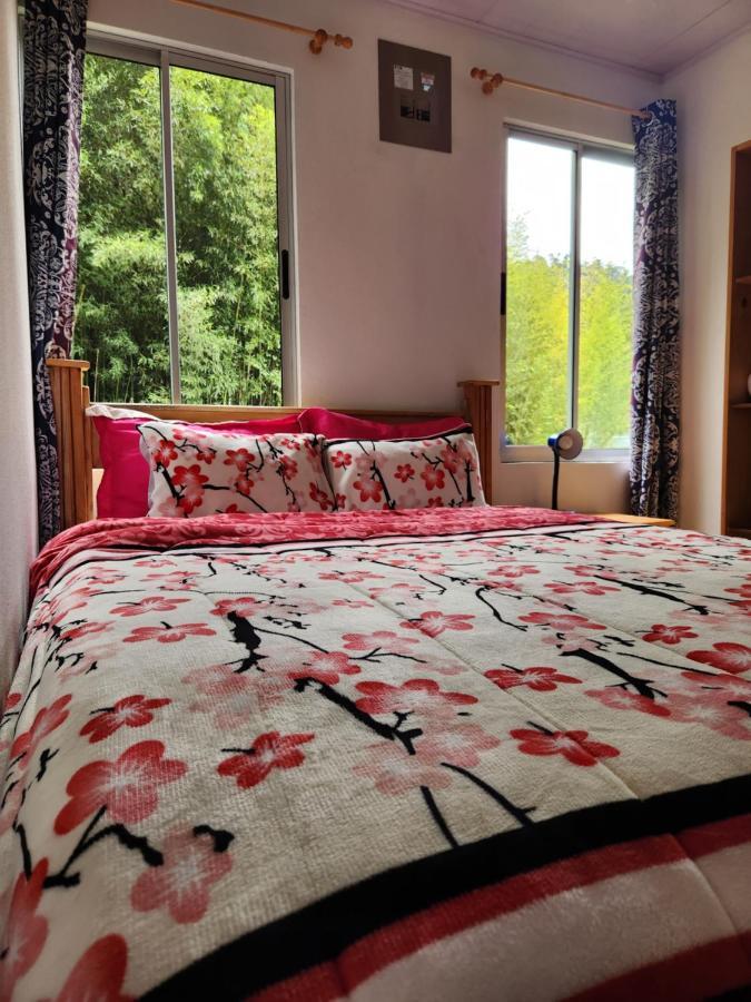 Ferienwohnung Selvatica Del Toro Bajos del Toro Exterior foto